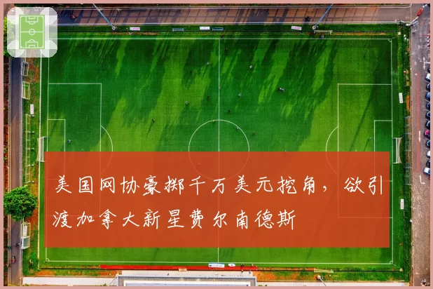 美国网协豪掷千万美元挖角，欲引渡加拿大新星费尔南德斯