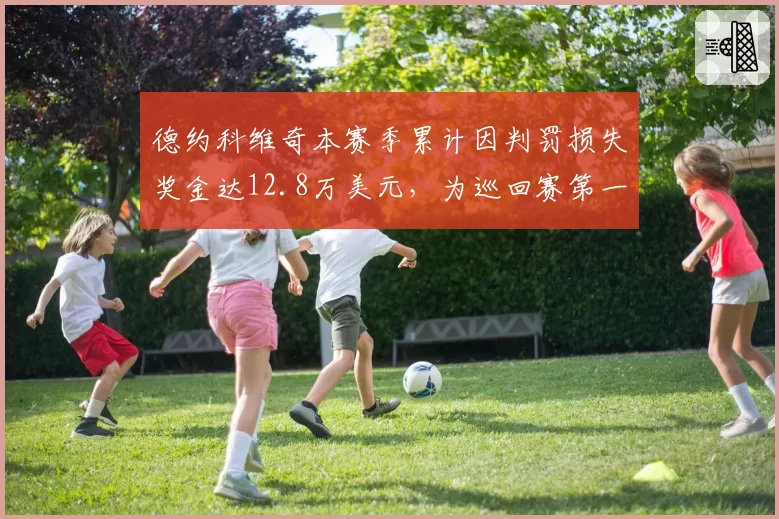 德约科维奇本赛季累计因判罚损失奖金达12.8万美元，为巡回赛第一